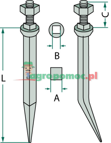Harrow tine | zdjęcie nr 2